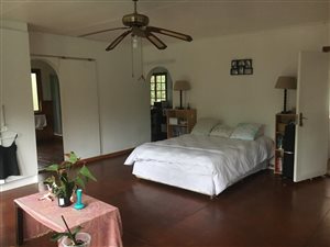 1 Bed Apartment in Mtunzini