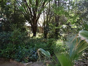 3.4 ha Farm with House in Vyfhoek