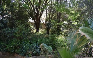 3.4 ha Farm with House in Vyfhoek