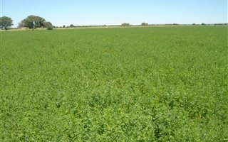 25.6 ha Land available in Hartswater