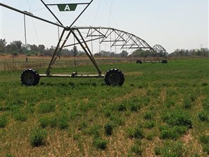 10.4 ha Farm in Honingnestkrans