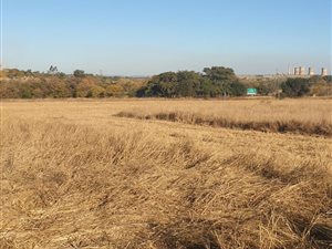 8.5 ha Farm in Vasfontein