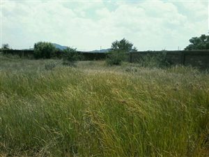 540 m² Land available in Hesteapark
