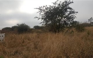 9600 m² Land available in Magna Via
