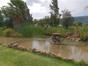 2.3 ha Farm in Kameeldrift West