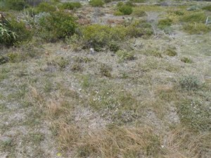 621 m² Land available in Boggoms Bay