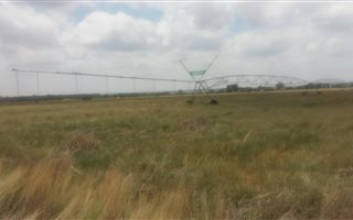 25 ha Land available in Hennenman