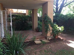 1 Bedroom Apartment in Riviera