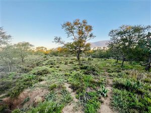 3.4 ha Land available in Grahamstown Central