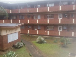 1 Bed Apartment in Pelham