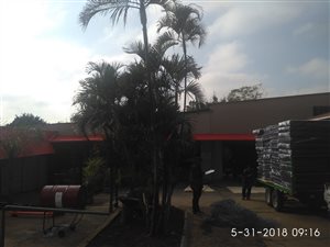 1 m² Industrial space in Pretoria North