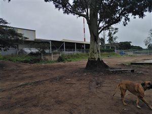 7500 m² Commercial space in Cato Ridge