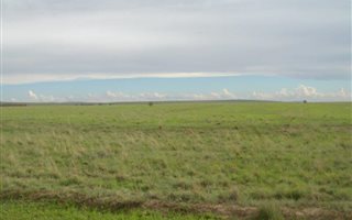 1565 ha Land available in Excelsior