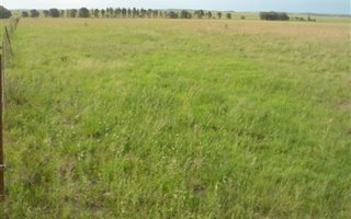 1565 ha Land available in Excelsior
