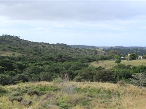 12 ha Farm in Beacon Bay