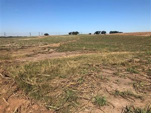 2.1 ha Farm in Ballito