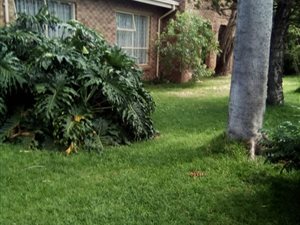 4 Bed House in Mabopane