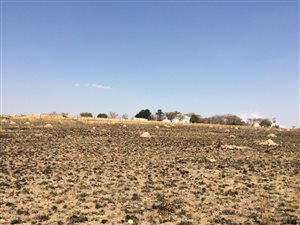 3 ha Farm in Laezonia