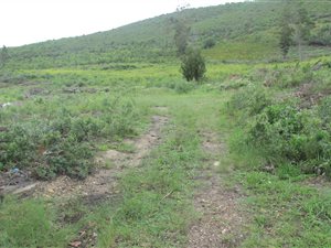 11 ha Farm in Knysna Central