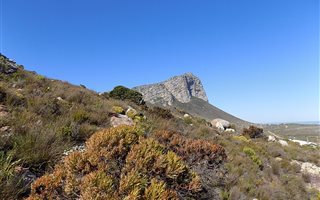 1680 m² Land available in Pringle Bay