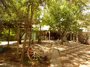 4 ha Farm in Bainsvlei