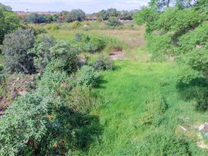 1.7 ha Land available in Rewlatch