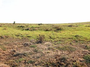 437 m² Land available in Hartenbos