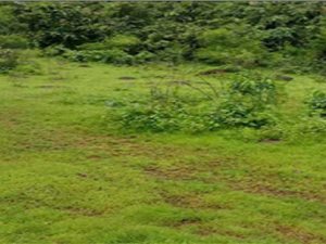 5400 m² Land available in Roodepoort Central