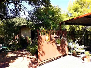 7 Bed House in Mountain View