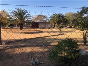 Farm with House in Vasfontein