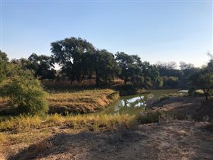 1226 ha Farm in Lephalale (Ellisras)