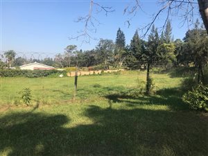2516 m² Land available in Berea West