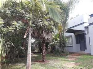 4 Bed House in Louis Trichardt