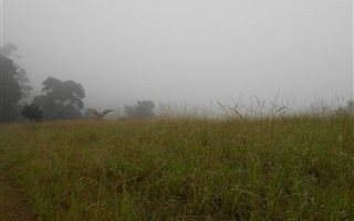 1500 m² Land available in Oak Park