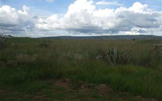 4 ha Land available in Lydenburg