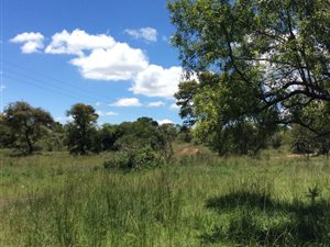 821 ha Farm in Polokwane Central