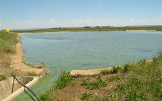 77 ha Farm in Hartswater