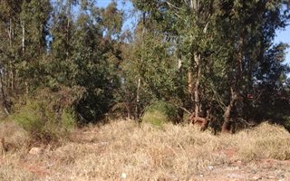1370 m² Land available in Meyerton Park