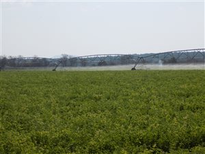 70 ha Land available in Swartruggens