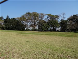 4 ha Land available in Mtunzini