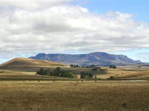 1.2 ha Land available in Van Reenen
