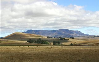 1.2 ha Land available in Van Reenen