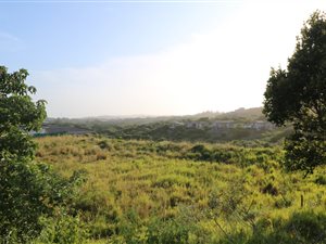 995 m² Land available in Brettenwood Coastal Estate