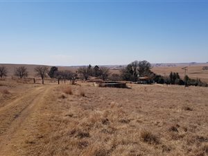 93.6 ha Farm in Ermelo