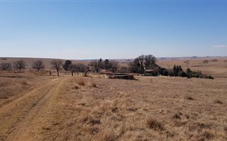 93.6 ha Farm in Ermelo