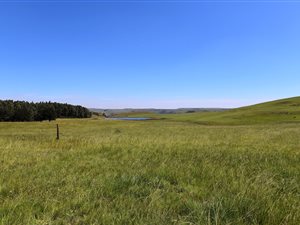 572 ha Farm in Ermelo