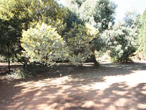 1.7 ha Land available in Weltevreden Park