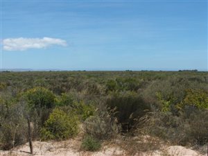 5 ha Smallholding in Velddrif
