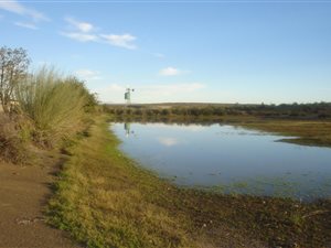 2872 ha Farm in Merweville