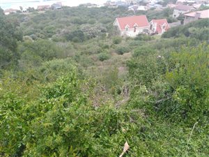 1076 m² Land available in Outeniqua Strand